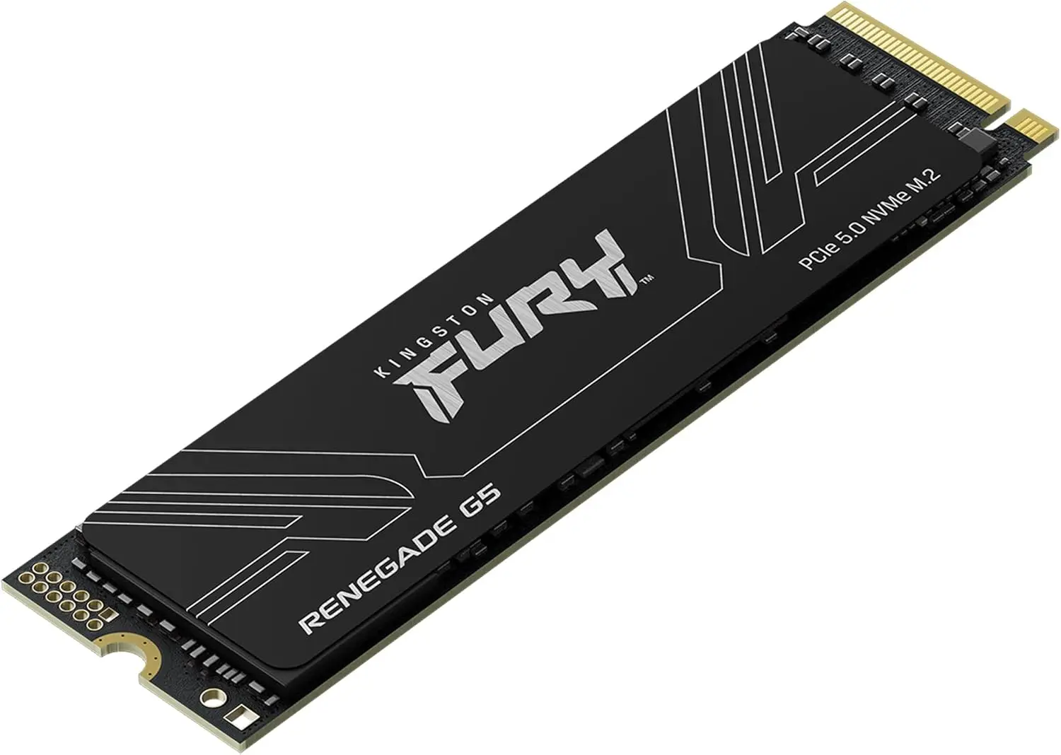 Kingston FURY Renegade G5 PCIe - Pc Gaming Second のレビューと価格